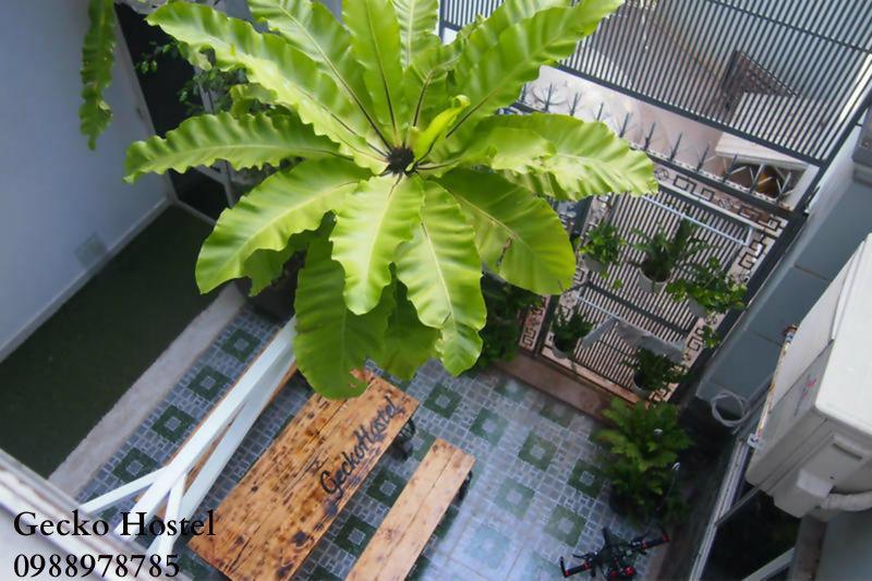 Gecko Hostel (Adults Only) หวุงเต่า ภายนอก รูปภาพ